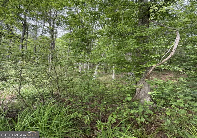 Photo 4 of Land for sale at 188 Belford Way, Jackson, GA 30233 | MLS# 10628876 | Listing updated on 2026-09-22