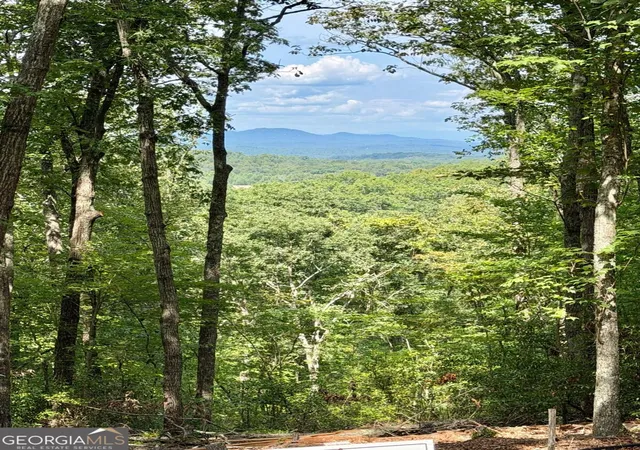 Photo 1 of Land for sale at Lot 28 Prospect Ridge, Blue Ridge, GA 30513 | MLS# 10848551 | Listing updated on 2026-09-18