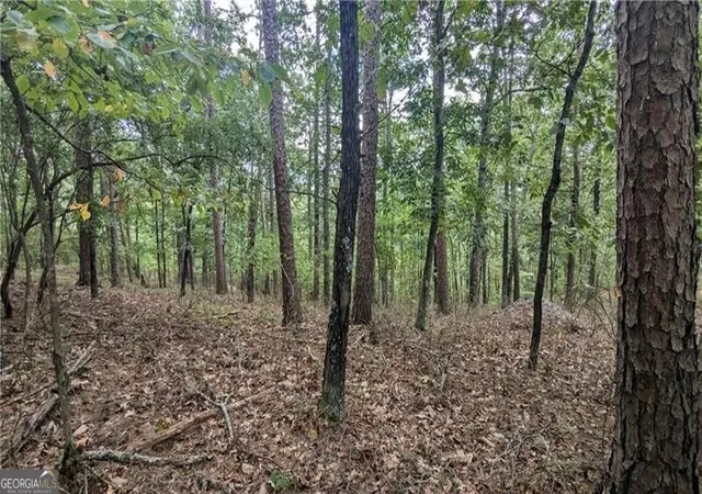 Photo 1 of Land for sale at 278 Adair Dr Ne, Ranger, GA 30734 | MLS# 10374264 | Listing updated on 2026-09-01