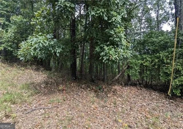 Photo 4 of Land for sale at 278 Adair Dr NE, Ranger, GA 30734 | MLS# 10374264 | Listing updated on 2026-09-01