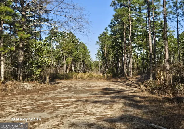 Photo 3 of Land for sale at 0 Ml Branch Clb Lot 1m Rd, Nevils, GA 31321 | MLS# 10849843 | Listing updated on 2026-10-04