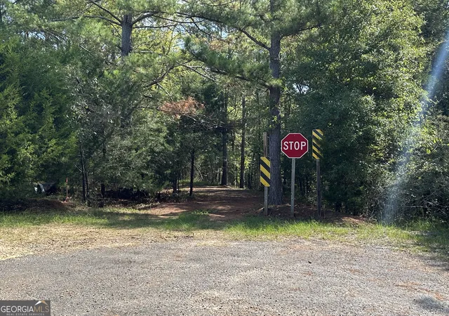 Photo 1 of Land for sale at 119 Hough Johnson Rd, Haddock, GA 31033 | MLS# 10847233 | Listing updated on 2026-09-30