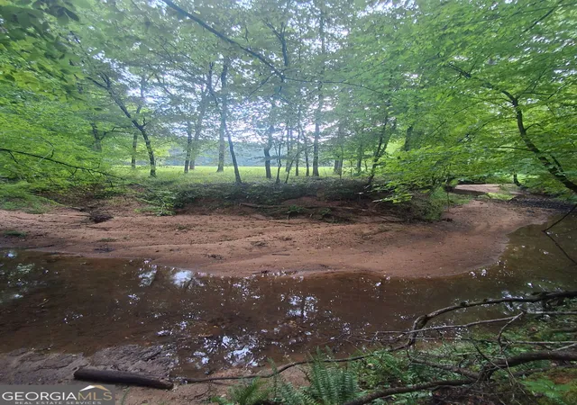 Photo 2 of Land for sale at 119 Hough Johnson Rd, Haddock, GA 31033 | MLS# 10847233 | Listing updated on 2026-09-30