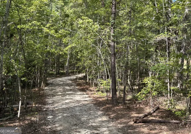 Photo 3 of Land for sale at 119 Hough Johnson Rd, Haddock, GA 31033 | MLS# 10847233 | Listing updated on 2026-09-30