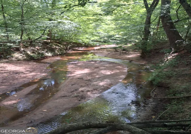 Photo 3 of Land for sale at 119 Hough Johnson Rd, Haddock, GA 31033 | MLS# 10847233 | Listing updated on 2026-09-30