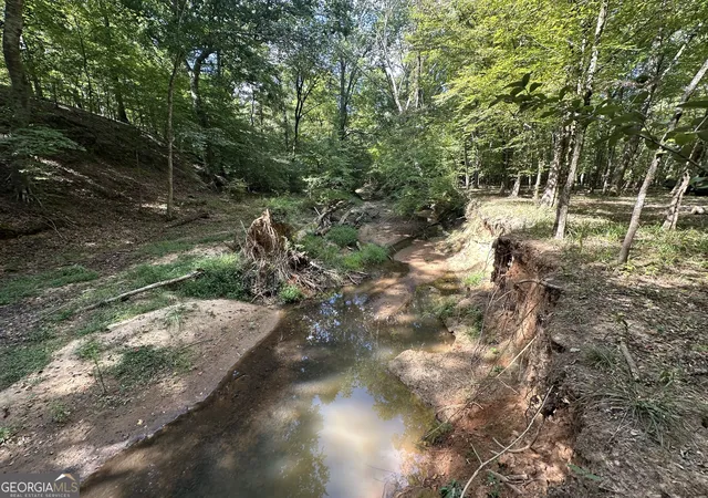 Photo 4 of Land for sale at 119 Hough Johnson Rd, Haddock, GA 31033 | MLS# 10847233 | Listing updated on 2026-09-30
