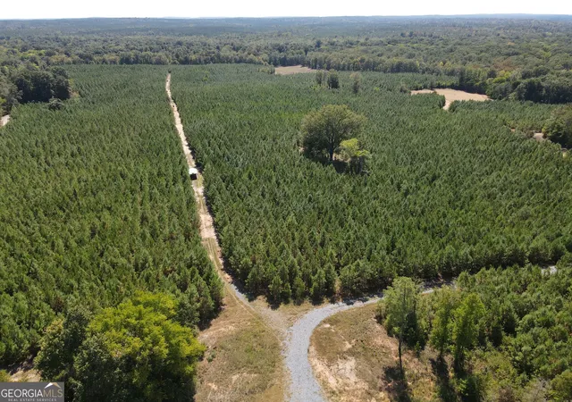 Land for sale at 9390 Hopewell Rd, Lizella, GA 31052 | MLS# 10842233