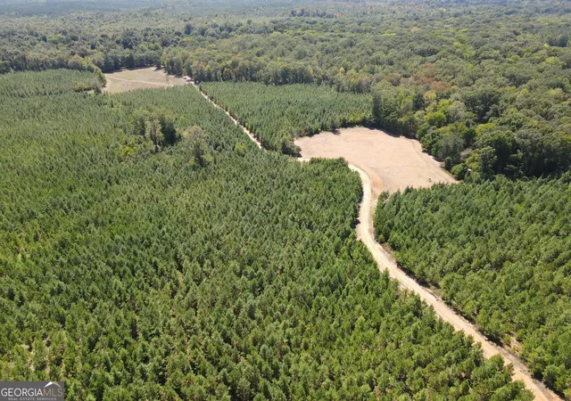 Photo 3 of Land for sale at 9390 Hopewell Rd, Lizella, GA 31052 | MLS# 10842233 | Listing updated on 2026-09-09