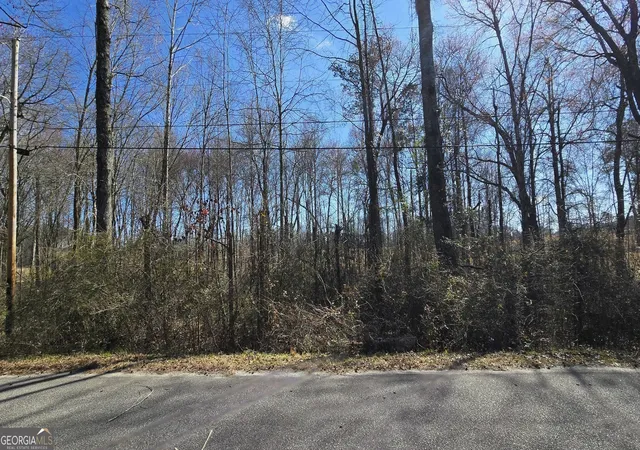 Photo 2 of Land for sale at 1114 Spring Crk Cir, Griffin, GA 30223 | MLS# 10847362 | Listing updated on 2026-09-30