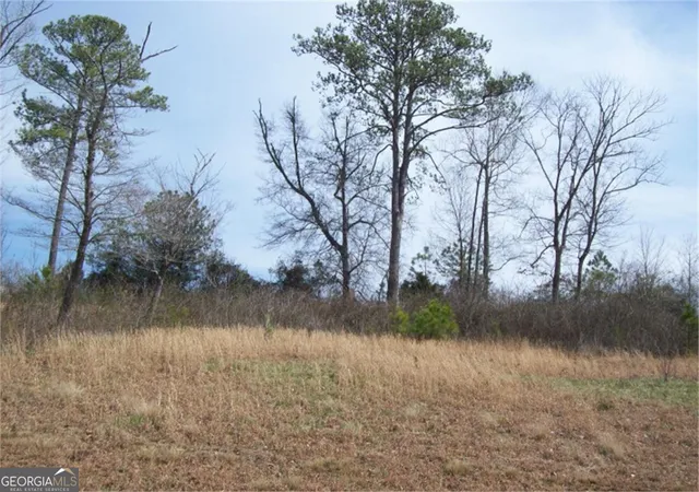 Photo 1 of Land for sale at 00 Tipi Ln, Chatsworth, GA 30705 | MLS# 10846612 | Listing updated on 2026-09-30