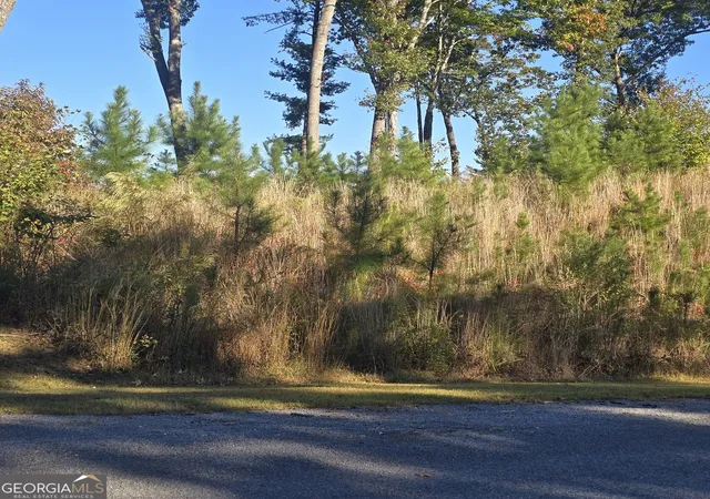 Photo 1 of Land for sale at Lot 86 River Overlook Ln, Ellijay, GA 30540 | MLS# 10878277 | Listing updated on 2026-10-26