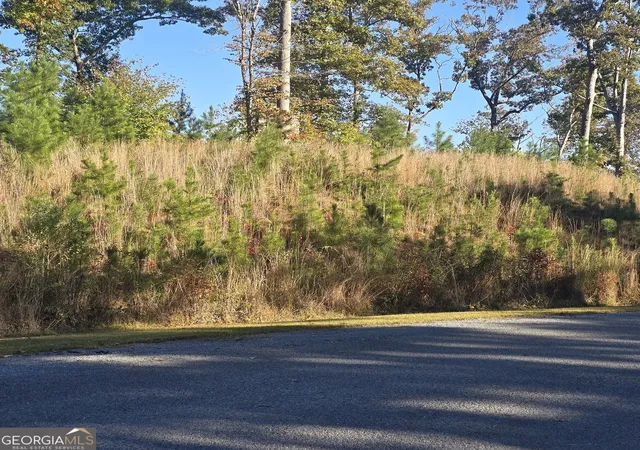 Photo 2 of Land for sale at Lot 86 River Overlook Ln, Ellijay, GA 30540 | MLS# 10878277 | Listing updated on 2026-10-26