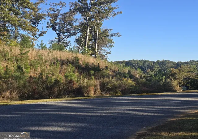 Photo 3 of Land for sale at Lot 86 River Overlook Ln, Ellijay, GA 30540 | MLS# 10878277 | Listing updated on 2026-10-26