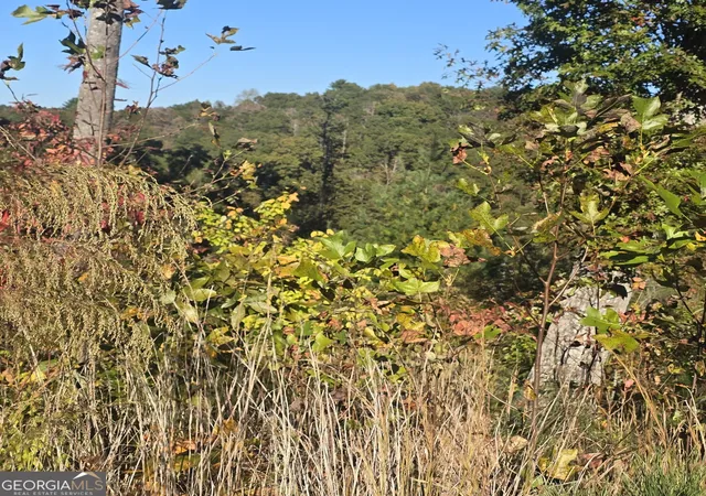Photo 4 of Land for sale at Lot 86 River Overlook Ln, Ellijay, GA 30540 | MLS# 10878277 | Listing updated on 2026-10-26