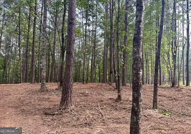 Photo 1 of Land for sale at 130 Patriot View Dr, Dahlonega, GA 30533 | MLS# 10846327 | Listing updated on 2026-09-30