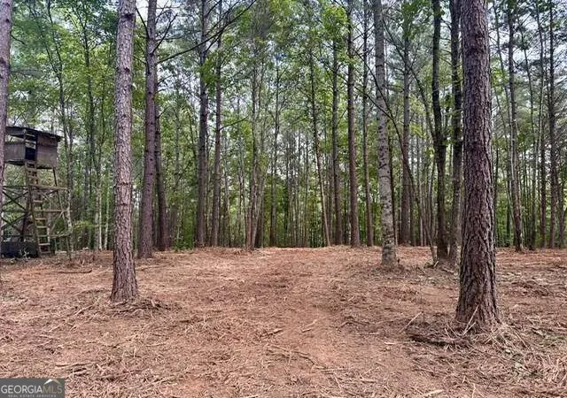 Photo 3 of Land for sale at 130 Patriot View Dr, Dahlonega, GA 30533 | MLS# 10846327 | Listing updated on 2026-09-30