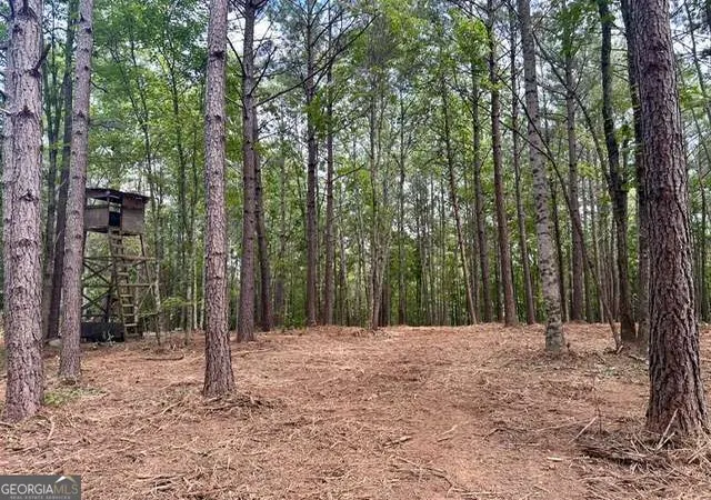 Photo 3 of Land for sale at 130 Patriot View Dr, Dahlonega, GA 30533 | MLS# 10846327 | Listing updated on 2026-10-21