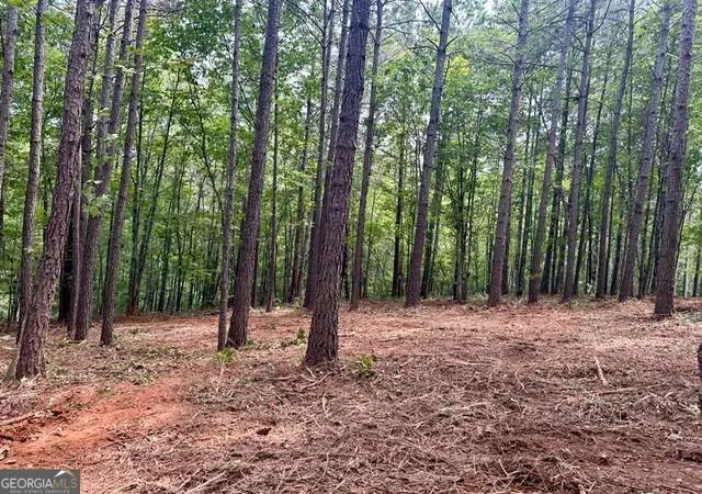 Photo 4 of Land for sale at 130 Patriot View Dr, Dahlonega, GA 30533 | MLS# 10846327 | Listing updated on 2026-10-21