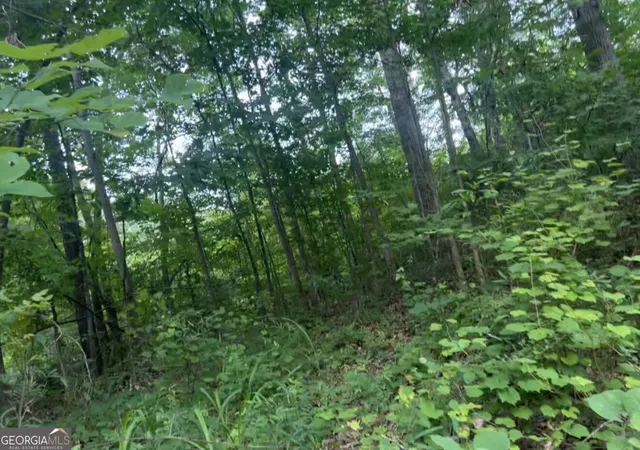 Photo 3 of Land for sale at 0 Edna Cir, Thomaston, GA 30286 | MLS# 10838467 | Listing updated on 2026-09-19