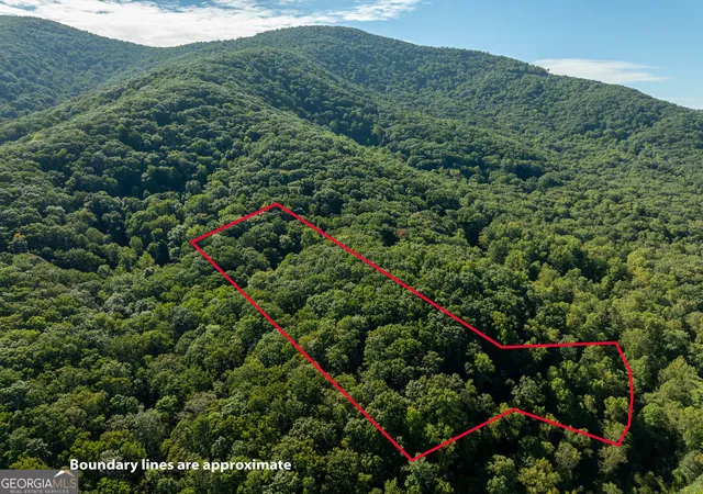 Photo 21 of Sale Pending at Lot 18 Wilderness Way, Ellijay, GA 30536 | MLS# 10842900 | Listing updated on 2026-09-11