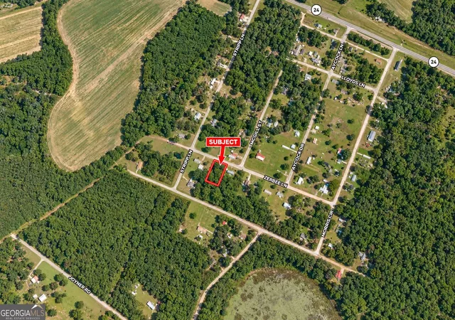 Photo 3 of Land for sale at 46 Acre Zerbee Ln, Waynesboro, GA 30830 | MLS# 10841251 | Listing updated on 2026-10-15