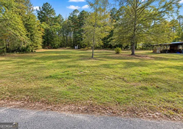 Photo 3 of Land for sale at 46 Acre Zerbee Ln, Waynesboro, GA 30830 | MLS# 10841251 | Listing updated on 2026-10-15