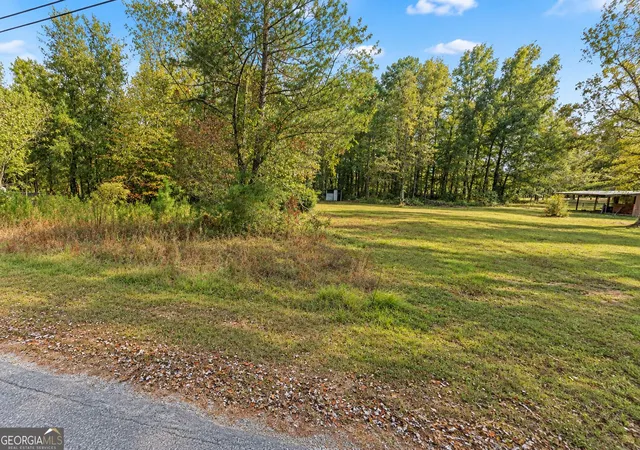 Photo 4 of Land for sale at 46 Acre Zerbee Ln, Waynesboro, GA 30830 | MLS# 10841251 | Listing updated on 2026-10-15
