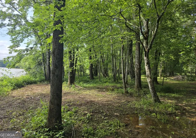 Photo 3 of Land for sale at 1070 Apalachee Shls Ct, Madison, GA 30650 | MLS# 10851387 | Listing updated on 2026-10-07