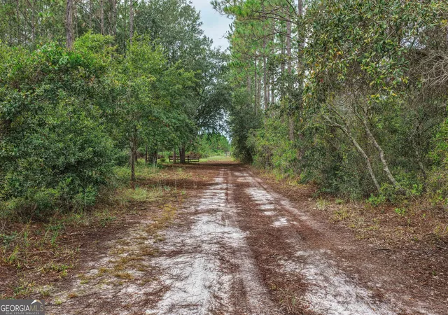 Photo 3 of Land for sale at 6642 Old Moniac Rd, St. George, GA 31562 | MLS# 10848576 | Listing updated on 2026-10-02