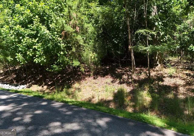 Photo 2 of Land for sale at Lot 229 Stone Cliff Tr, Cleveland, GA 30528 | MLS# 10844957 | Listing updated on 2026-10-10