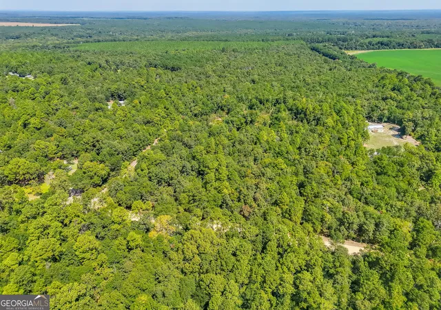 Photo 3 of Land for sale at 335 Allen Chapel Rd, Waynesboro, GA 30830 | MLS# 10824683 | Listing updated on 2026-10-12