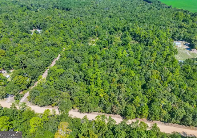 Photo 3 of Land for sale at 335 Allen Chapel Rd, Waynesboro, GA 30830 | MLS# 10824683 | Listing updated on 2026-10-12