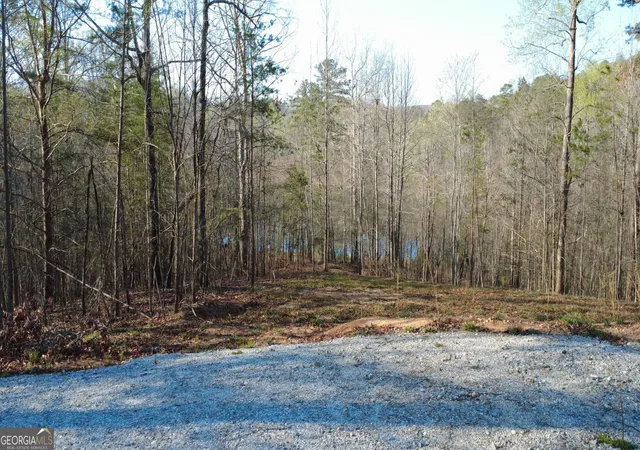 Photo 2 of Land for sale at 0 Purvis Rd, Baldwin, GA 30511 | MLS# 10724422 | Listing updated on 2026-10-04
