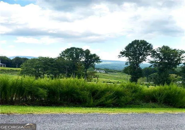 Photo 3 of Land for sale at 0 Big Valley Dr, Blue Ridge, GA 30513 | MLS# 10838974 | Listing updated on 2026-09-17