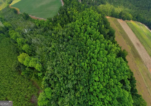 Photo 3 of Single family home for sale at 10600 US Hwy 80 E, Brooklet, GA 30415 | MLS# 10808614 | Listing updated on 2026-09-18