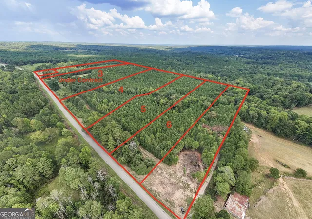 Land for sale at 0 County Rd 87 #6, Roanoke, AL 36274 | MLS# 10839986