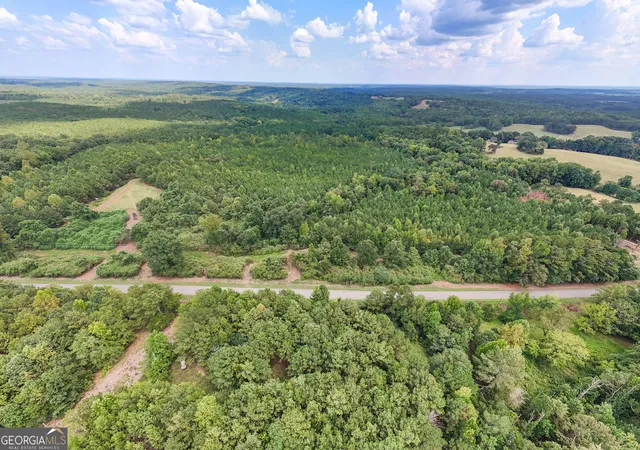 Photo 2 of House for sale at 0 County Rd 87 #6, Roanoke, AL 36274 | MLS# 10839986 | Listing updated on 2026-09-18