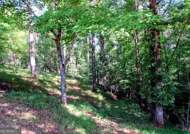 Photo 3 of Land for sale at 343 Hollybrook Rd, Dahlonega, GA 30533 | MLS# 10845576 | Listing updated on 2026-09-28