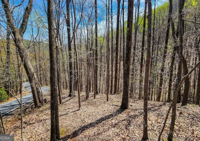 Photo 1 of Land for sale at 7078 Wild Azalea Cir, Jasper, GA 30143 | MLS# 10878213 | Listing updated on 2026-10-27