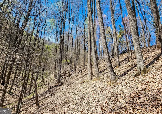 Photo 2 of Land for sale at 7078 Wild Azalea Cir, Jasper, GA 30143 | MLS# 10878213 | Listing updated on 2026-10-27
