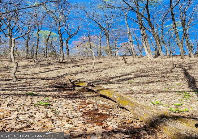 Photo 4 of Land for sale at 7078 Wild Azalea Cir, Jasper, GA 30143 | MLS# 10878213 | Listing updated on 2026-10-27