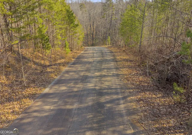 Photo 4 of Land for sale at 0 Planters Crk, Baldwin, GA 30511 | MLS# 10838929 | Listing updated on 2026-09-17