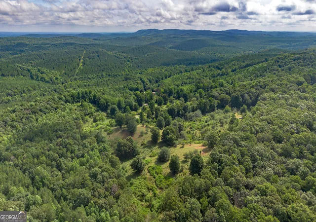 Land for sale at 5967 County Rd 19 #LOT 1, Heflin, AL 36264 | MLS# 10839448