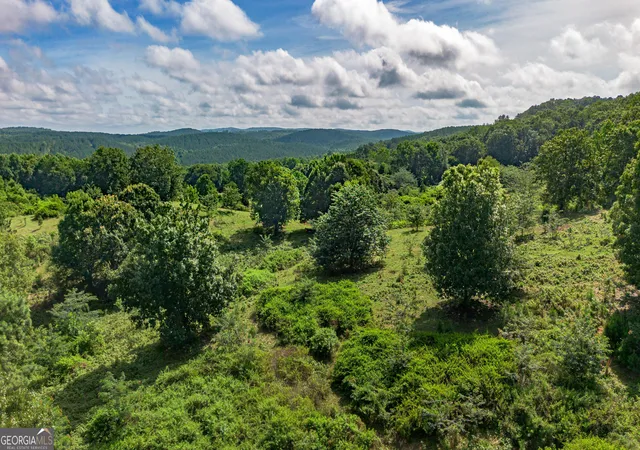 Photo 1 of Land for sale at 5967 County Rd 19 #LOT 1, Heflin, AL 36264 | MLS# 10839448 | Listing updated on 2026-09-17