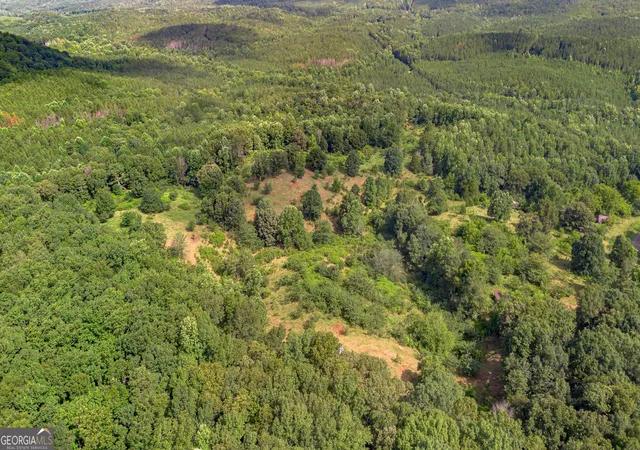 Photo 4 of Land for sale at 5967 County Rd 19 #LOT 1, Heflin, AL 36264 | MLS# 10839448 | Listing updated on 2026-09-17