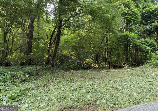 Photo 3 of Land for sale at 0 Tuts Mountain Rd, Clayton, GA 30525 | MLS# 10843859 | Listing updated on 2026-09-10