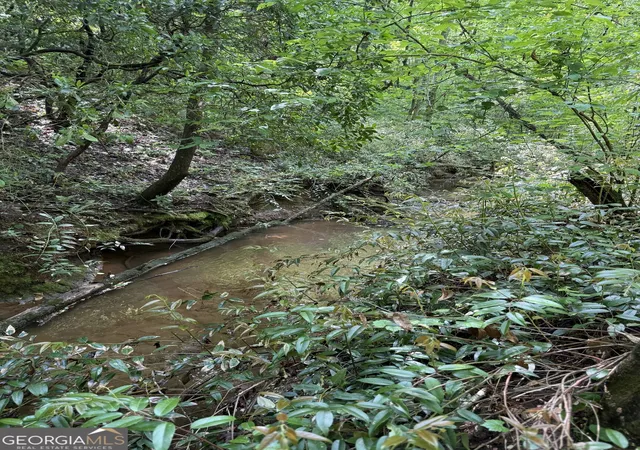 Photo 4 of Land for sale at 0 Mill Tr Ct, Cleveland, GA 30528 | MLS# 10736173 | Listing updated on 2026-09-06