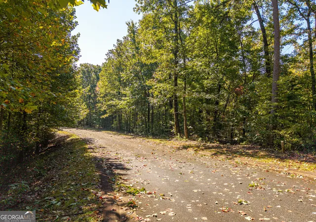 Photo 2 of Land for sale at Lot 22,23,0 Abbott Ml Rd, Ellijay, GA 30540 | MLS# 10872370 | Listing updated on 2026-10-28