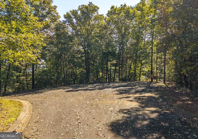 Photo 3 of Land for sale at Lot 22,23,0 Abbott Ml Rd, Ellijay, GA 30540 | MLS# 10872370 | Listing updated on 2026-10-28