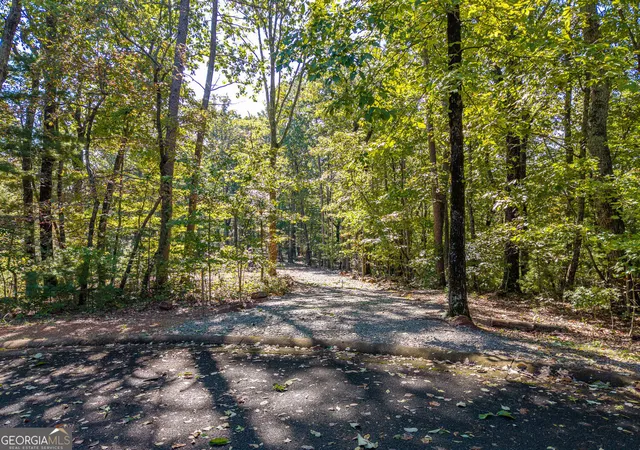 Photo 4 of Land for sale at Lot 22,23,0 Abbott Ml Rd, Ellijay, GA 30540 | MLS# 10872370 | Listing updated on 2026-10-28